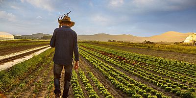 Tarım can çekişiyor