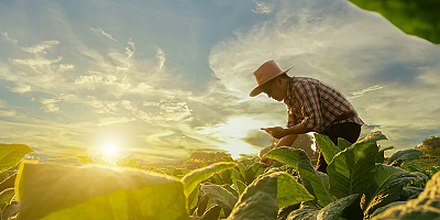 Tarımda gidişat iyi değil