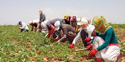 Tarımda İş Gücü Krizi Kapıda mı?