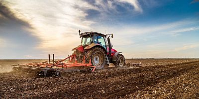 Tarımın parlayan yıldızı Antalya