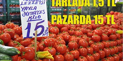 Tarlada 1,5 lira pazarda 15 lira