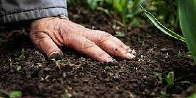 ’Toprak demek gelecek demektir’