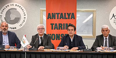 Turunçgilde yeşillenme hastalığı konuşuldu