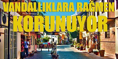 Vandallıklara rağmen korunuyor