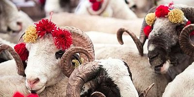 Vekalet kurban bedeli belli oldu