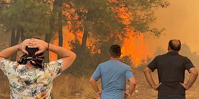 Yangınlarda 540 hektar ormanlık alan kül oldu 