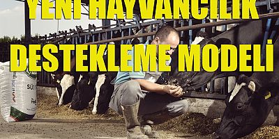 Yeni hayvancılık destekleme modeli