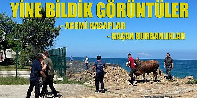 YİNE BİLDİK GÖRÜNTÜLER