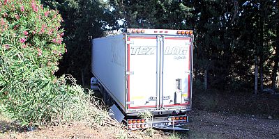 Yoldan çıkan TIR'ın sürücüsü yaralandı