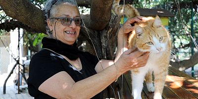 yüzlerce hayvanın hayatına dokundu