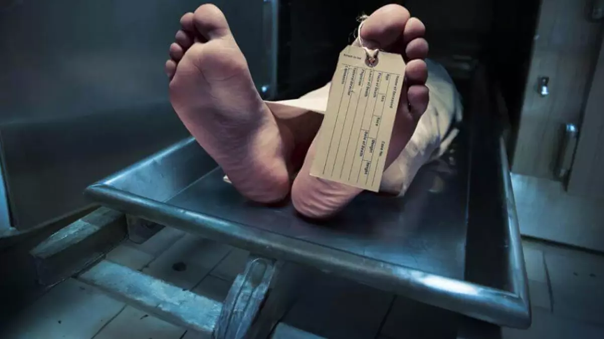 Türkiye'de kadavra bulamayan yetkililer ithal etmek için düğmeye bastı