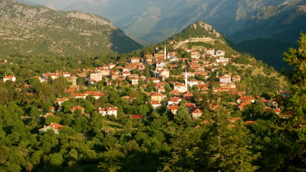 Türkiye'de yalnızca 600 kişinin yaşadığı Ormana, 