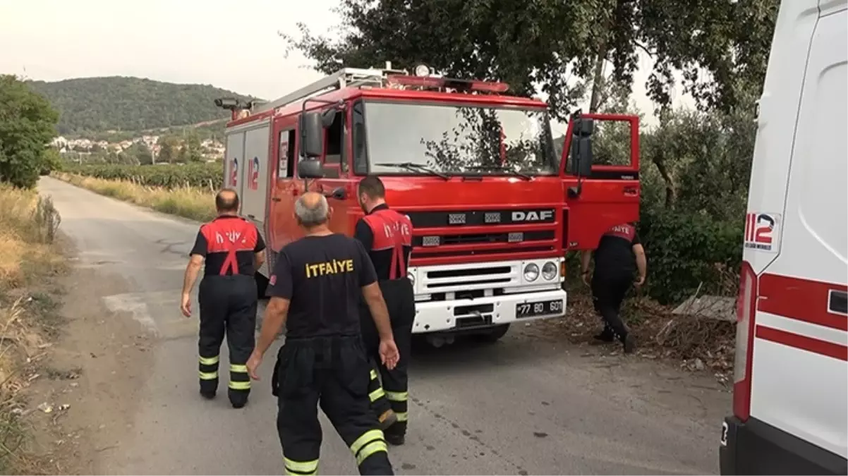 Yalova'yı karıştıran olay! 